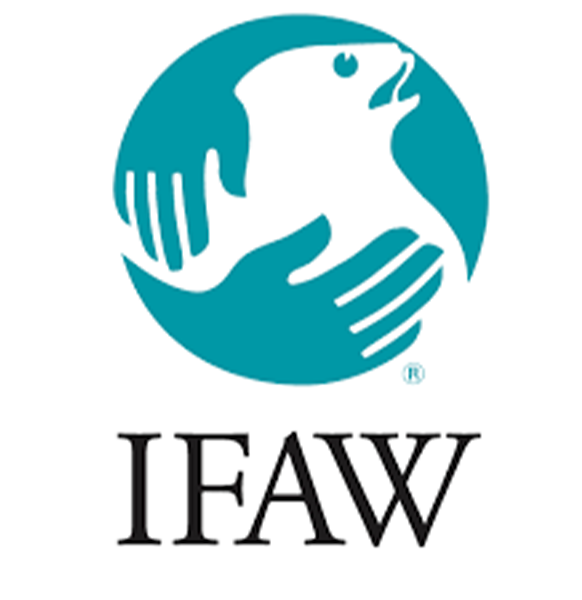 IFAW